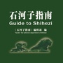 石河子指南SHZico