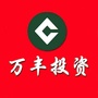 万丰投资ico