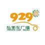 929私家车广播ico