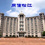 网信松江ico
