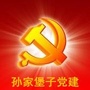 孙家堡子党建ico