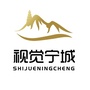 视觉宁城ico