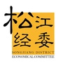 松江经委ico