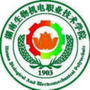 生机青年ico
