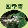 四季青生活馆ico