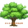 上海市松江青少年体育俱乐部公众号ico