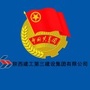 陕三建青年誌ico