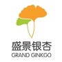 盛景银杏公众号ico
