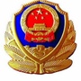 石家庄车驾管在线ico