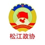 松江政协ico