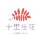 十里桂花公众号ico