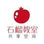石榴视野ico