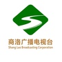 视听商洛ico