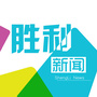微观胜利ico