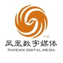 凤凰新高教ico