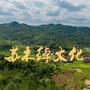 苏木绰文化ico