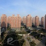 魅力上马台ico