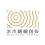 水木梧桐创投ico