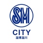 SM淄博淄川城市广场ico