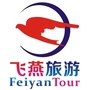 睢宁飞燕旅游ico
