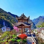 神农架林区下谷坪土家族乡人民政府ico
