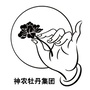 神农牡丹集团ico