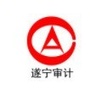 遂宁市审计局ico