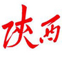 陕西微讯公众号ico