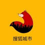 搜狐城市ico