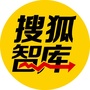 搜狐智库ico