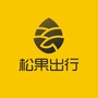 松果出行ico