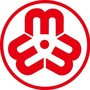 松江妇联ico