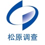 松原调查公众号ico
