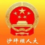 沙坪坝人大ico