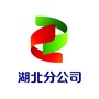 国家电投湖北分公司ico