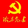 铁东党建ico