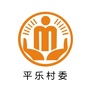 沙坪平乐阳光村务ico