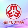 宿迁妇联ico