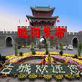 睢阳发布公众号ico