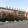 西楚文化公众号ico