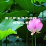 商丘职业技术学院纪检监察ico