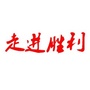 走进胜利ico