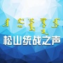 松山统战之声ico