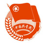 星火青春ico