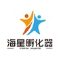 海星孵化器ico