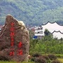 生态赤溪ico