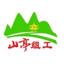 山亭组工ico