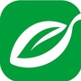 汕头橄榄台ico