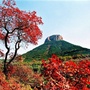 文旅山亭ico