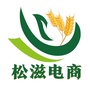 松滋电商ico